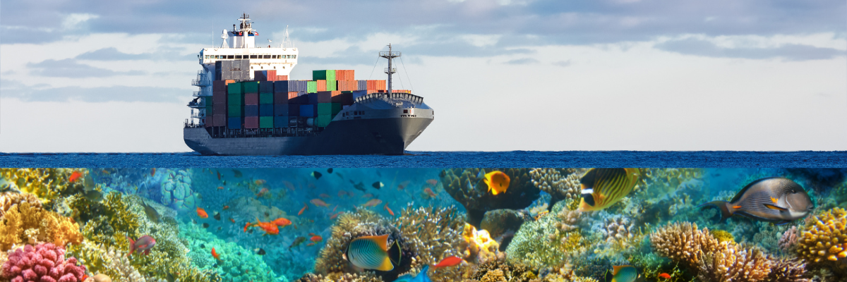 Cargo ship and marine life